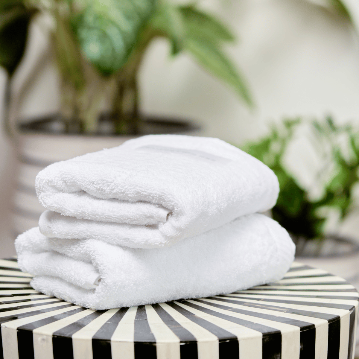 Aspen Hand Towel Set - 700 GSM | Pack of 2