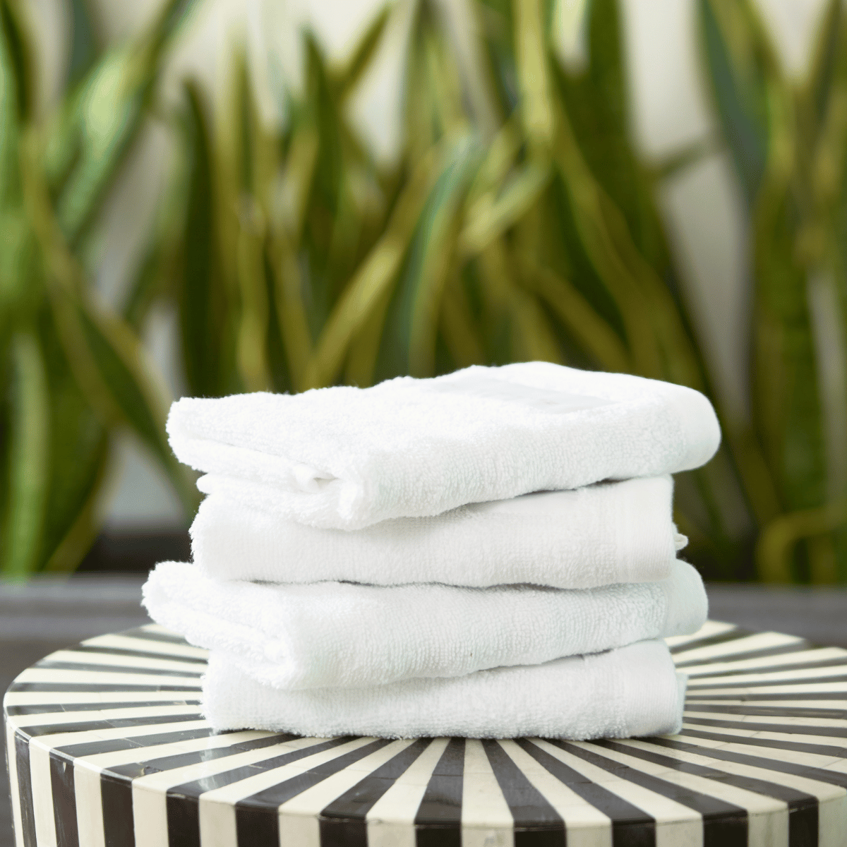 Gstaad Face Towel Set - 550 GSM | Pack of 4