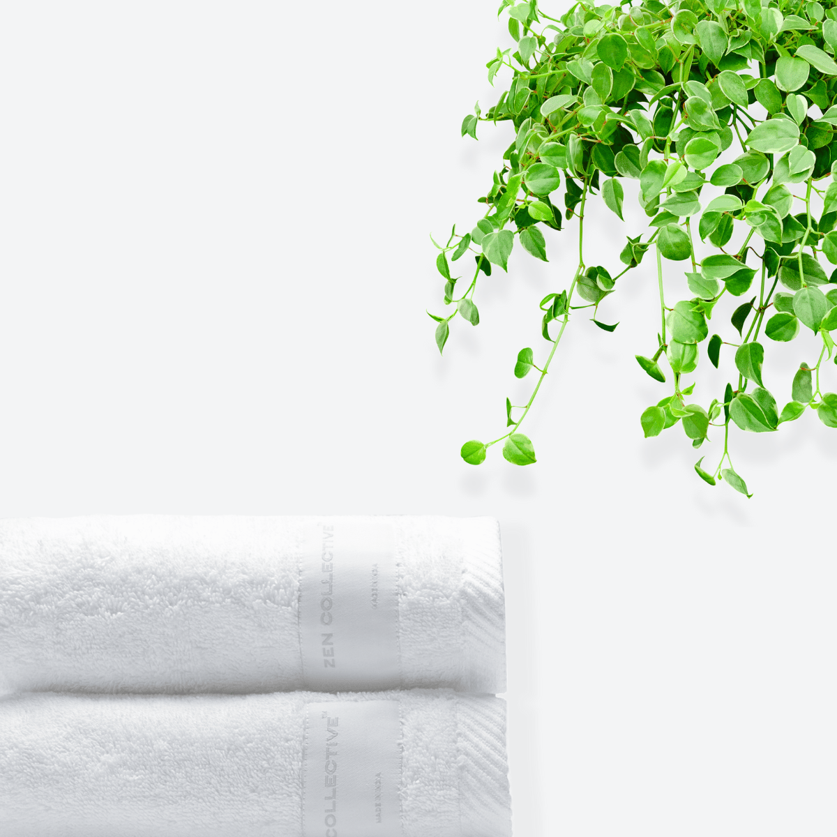 Aspen Hand Towel Set - 700 GSM | Pack of 2