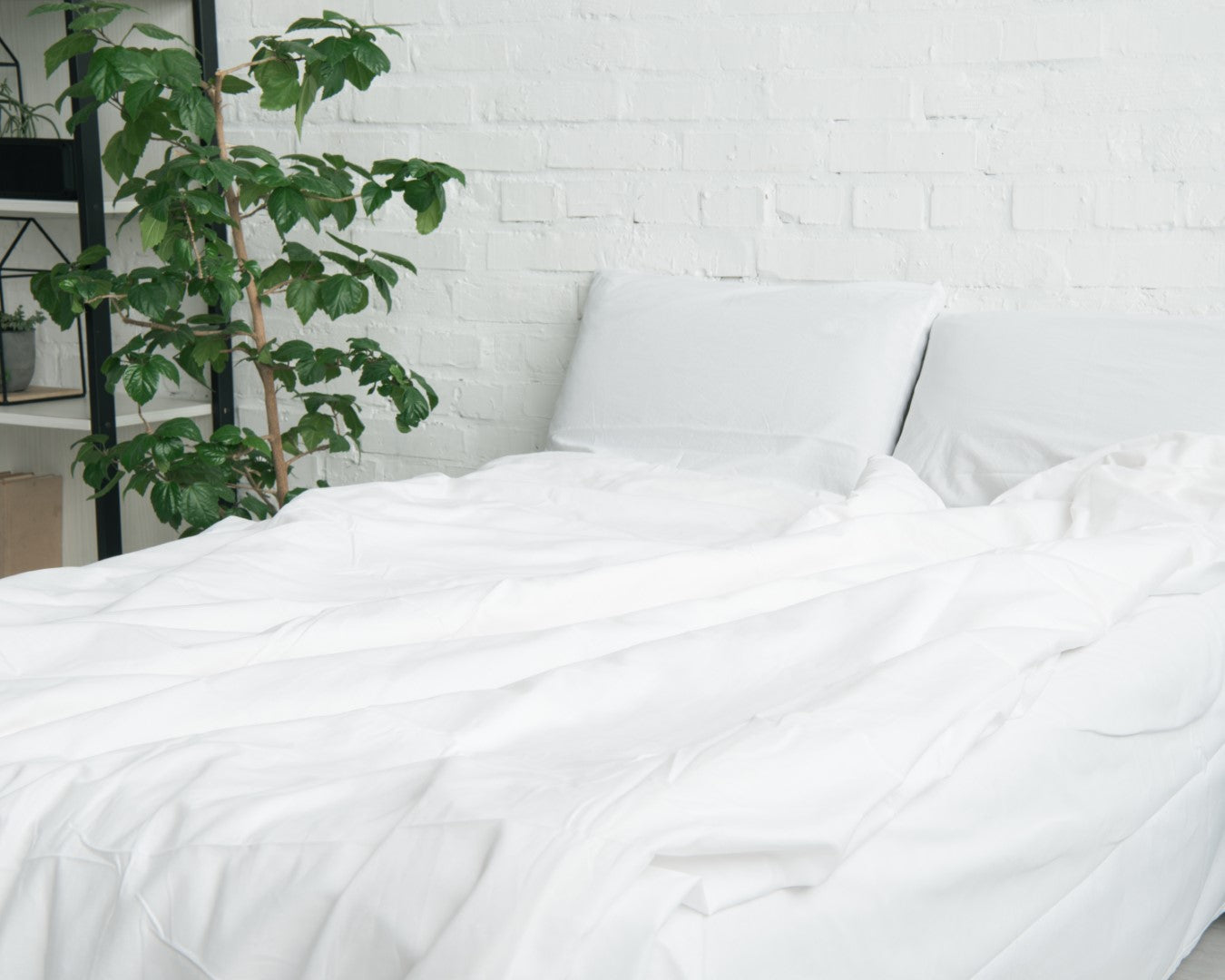 Flat Sheets