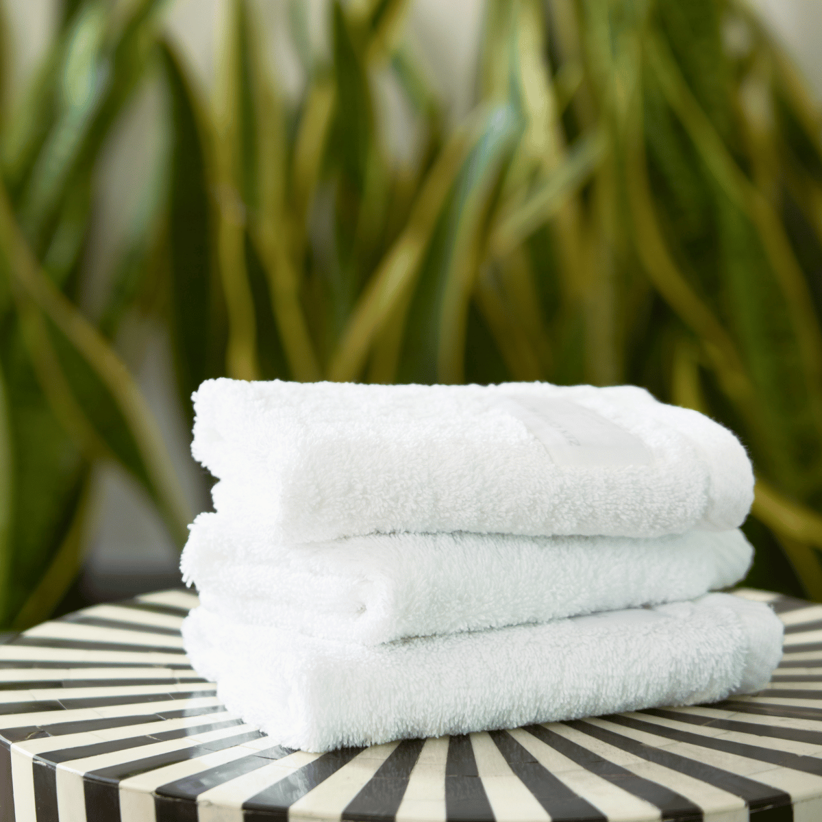 Aspen Face Towel Set - 700 GSM | Pack of 4