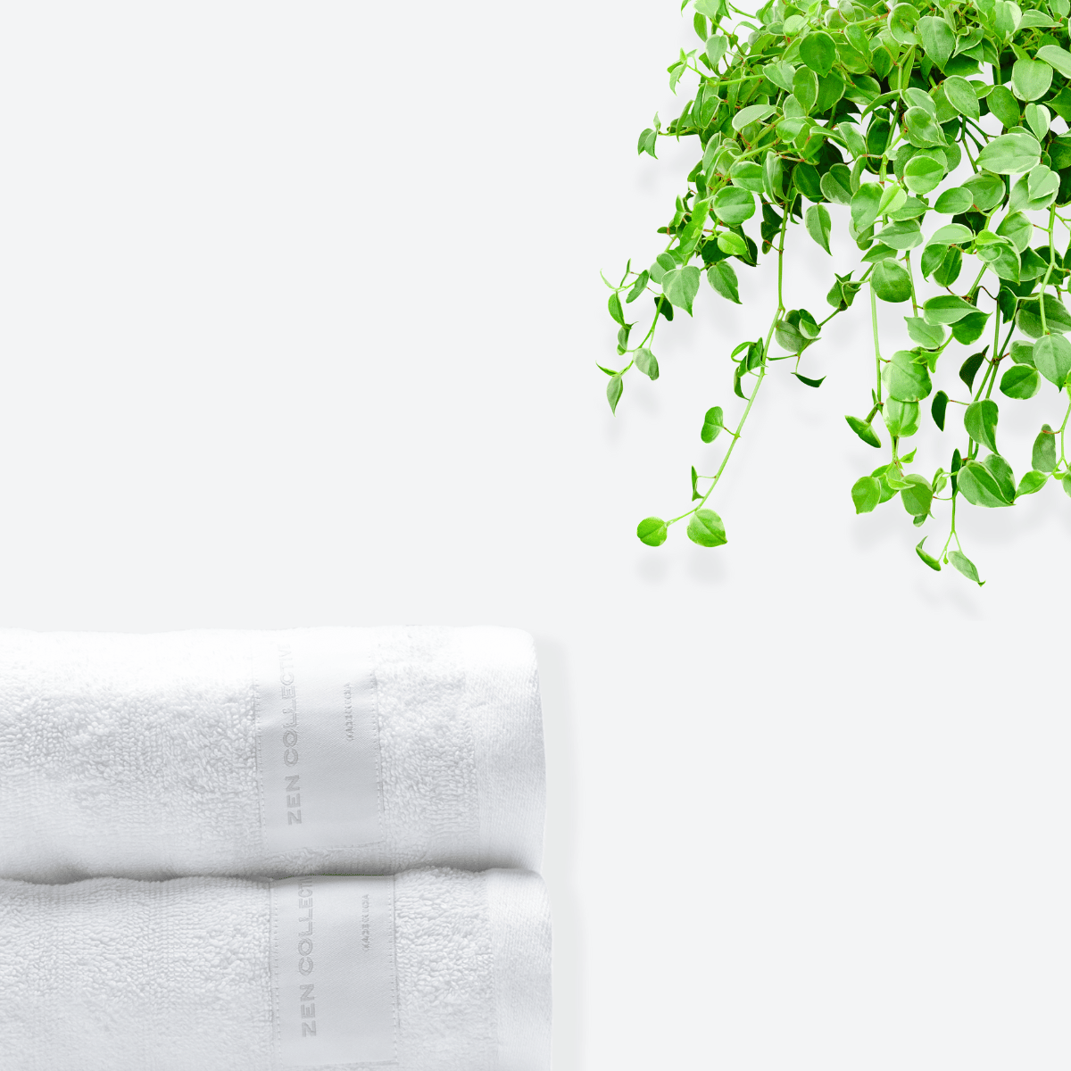 Gstaad Hand Towel Set - 550 GSM | Pack of 2