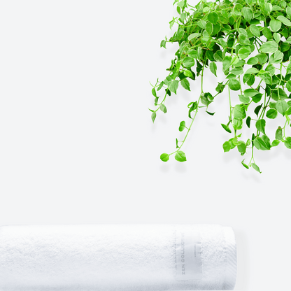 Aspen Bath Towel - 700 GSM